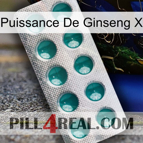 Ginseng Power X dapoxetine1.jpg